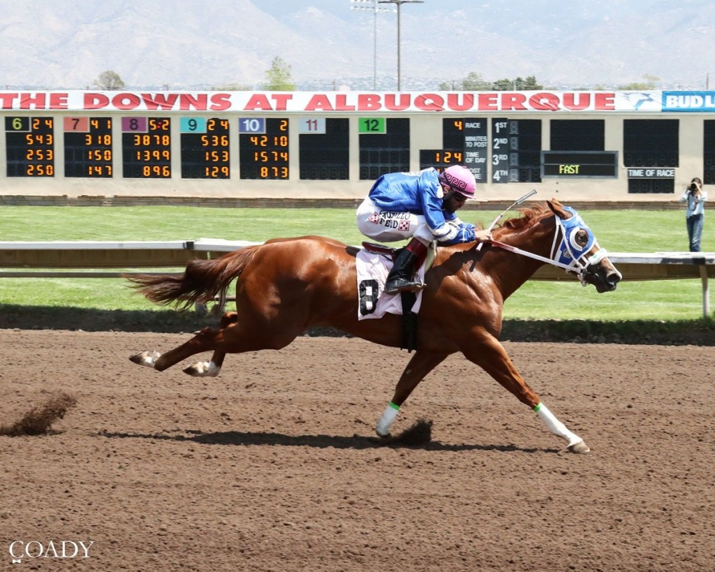 All American Futurity