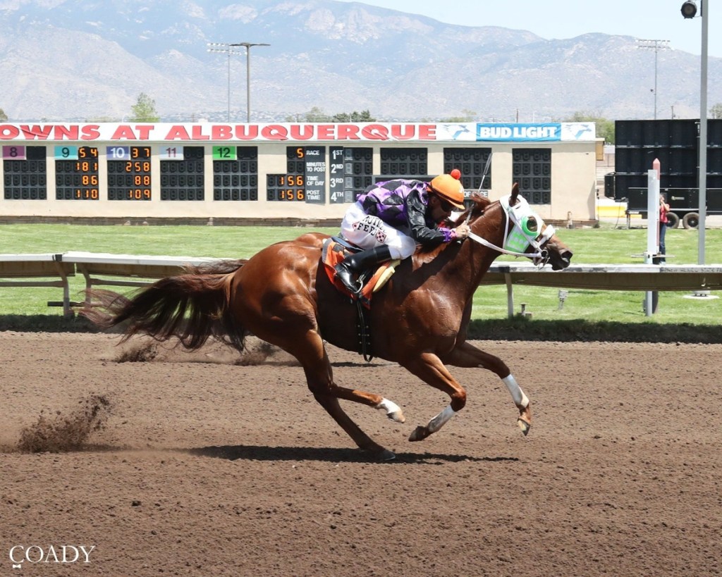 All American Futurity