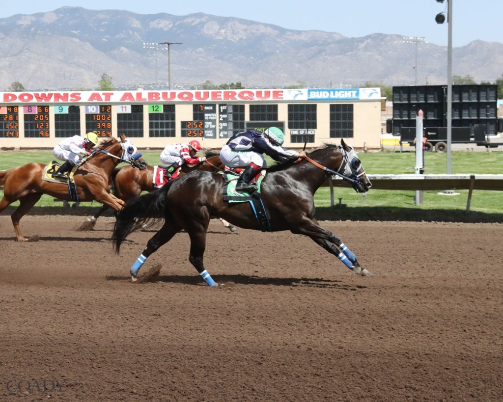 All American Futurity