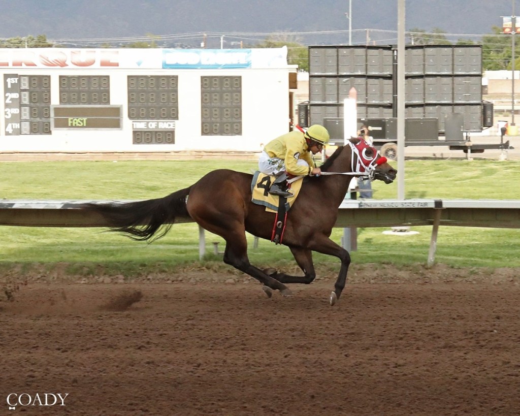 All American Futurity