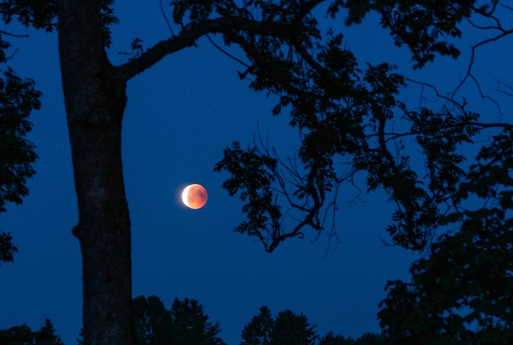 Blood moon