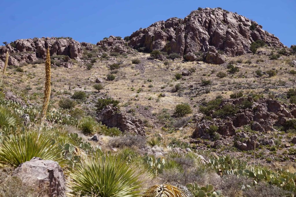 rock hunting in New Mexico